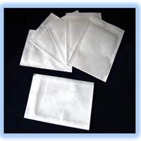 Tyvek  Flat Pouch